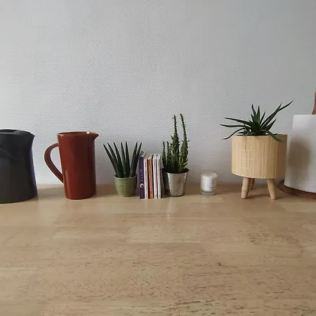 Le Nid Normand Avec Terrasse - Stationnement Facile Et Gratuit - 5 Min Seine Apartment